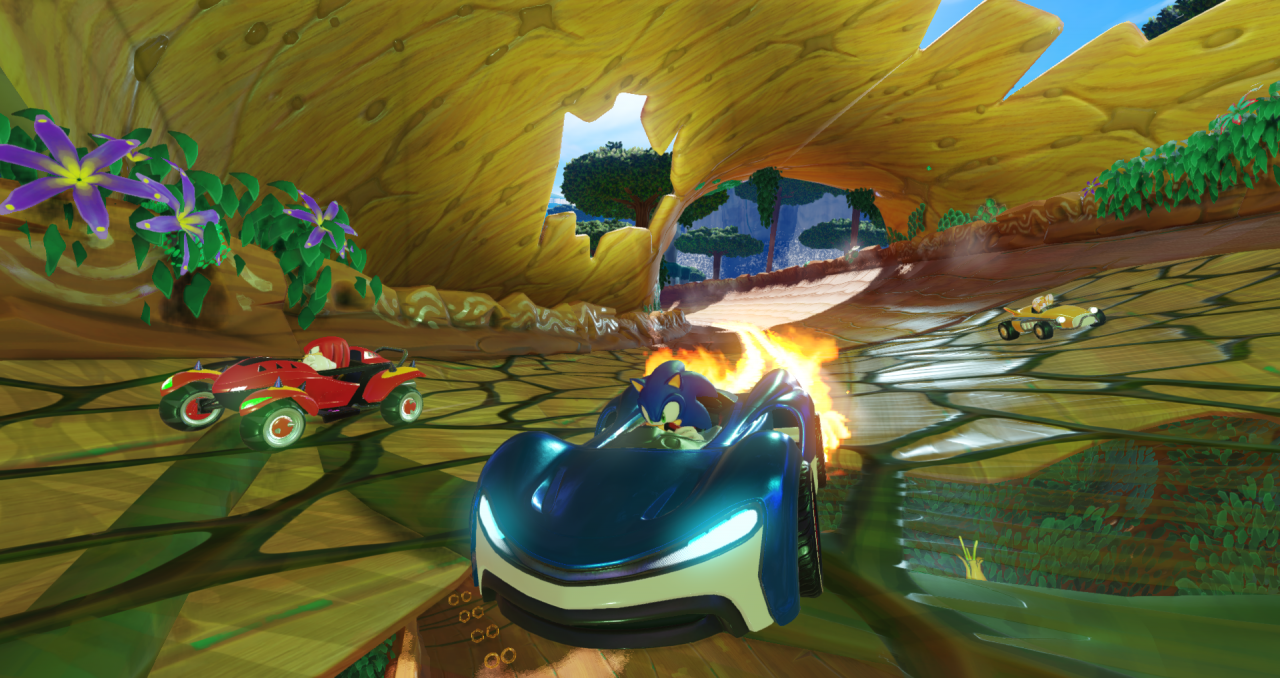 Team Sonic Racing [PS4, русские субтитры] фото в интернет-магазине In Play