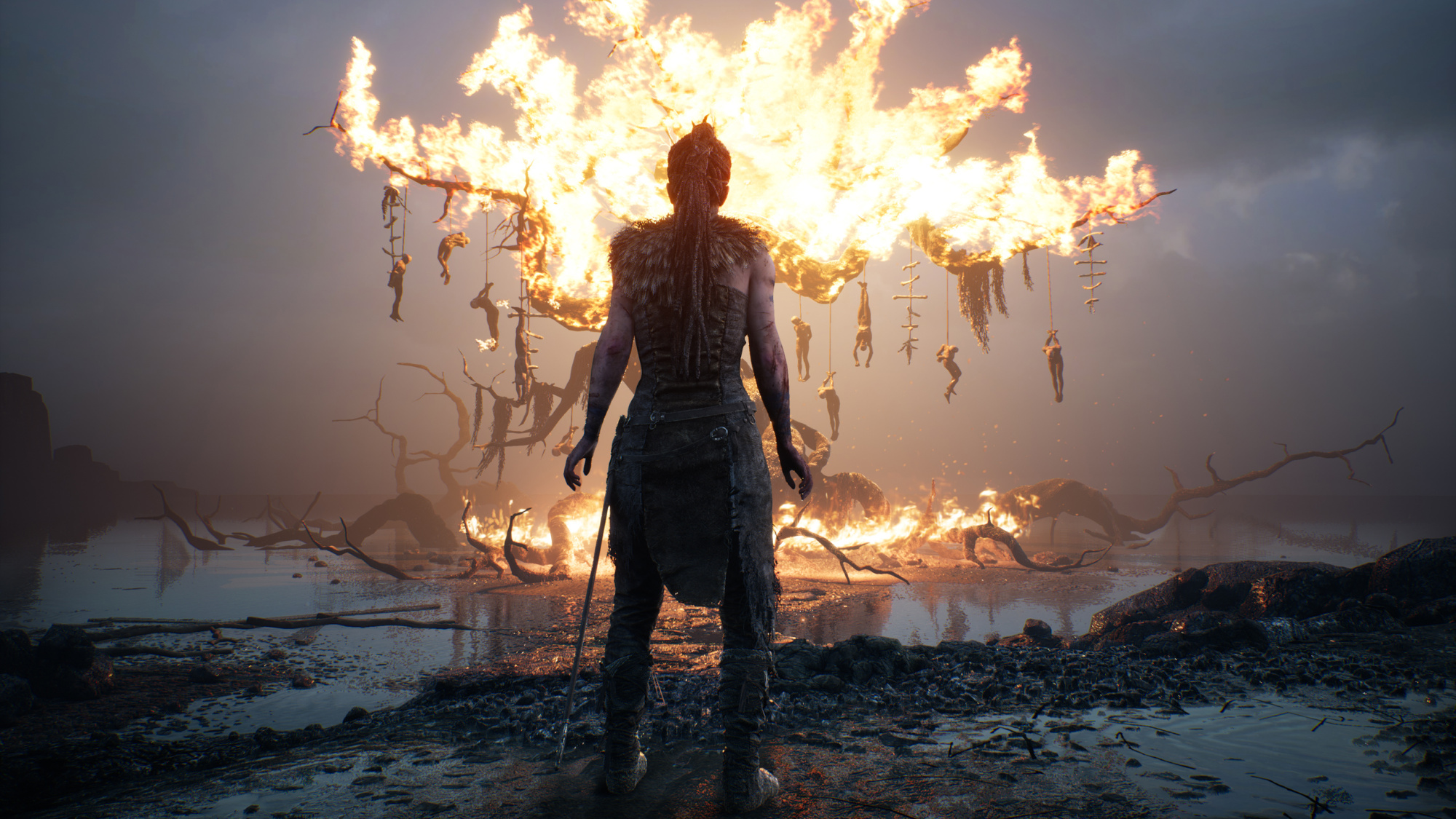 Hellblade: Senua's Sacrifice [PS4, русские субтитры] фото в интернет-магазине In Play